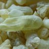 Green Hojari Frankincense
